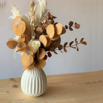 Centro Emmeline Otoño
