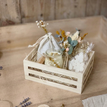 pack para invitados 2
