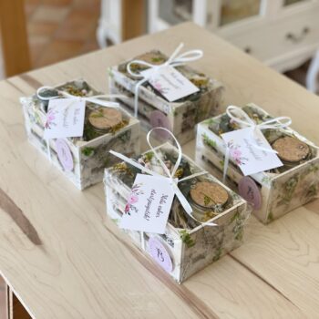 pack para invitados 10
