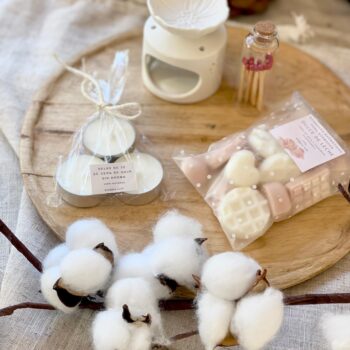 pack quemador + wax melt 1