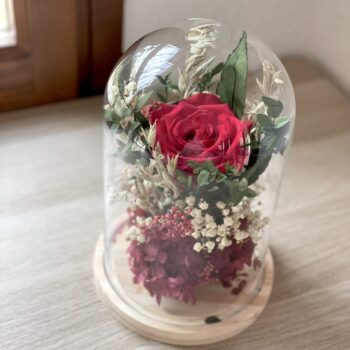 cúpula con rosa preservada 6