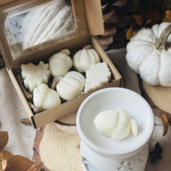 wax melt refugio otoñal7