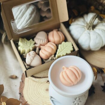 wax melt refugio otoñal1