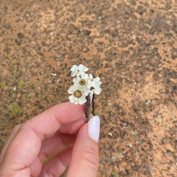 horquilla oxodia 2