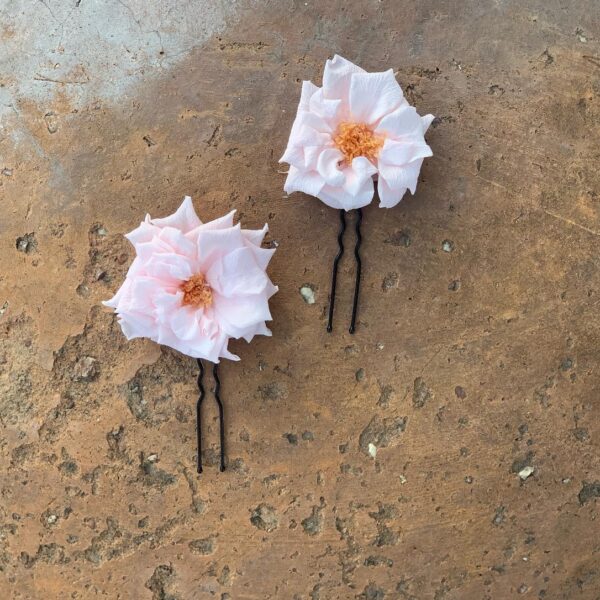 horquilla rosa silvestre 2