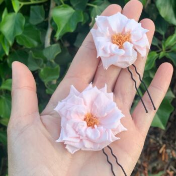 horquilla rosa silvestre 3