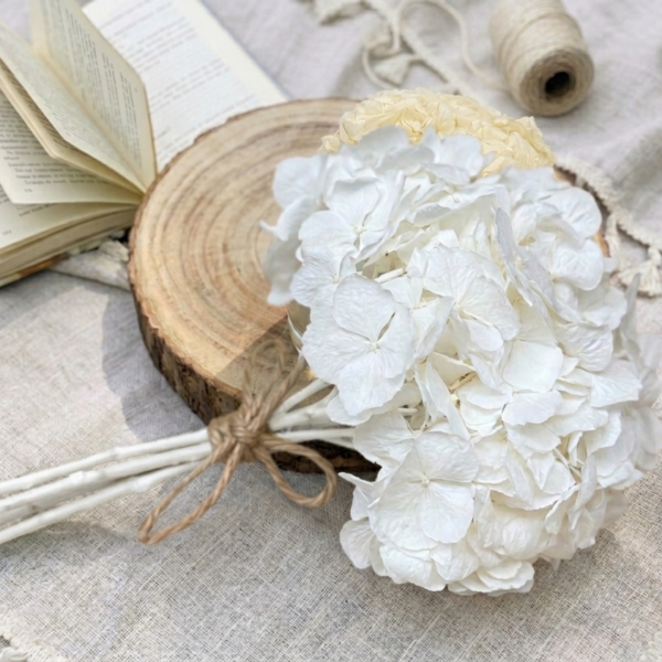 hortensia preservada